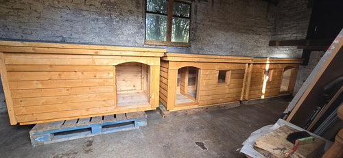 Large Dog Kennel with Inner Porch Doorway